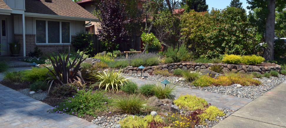 Santa Clara Water Landscape Rebate